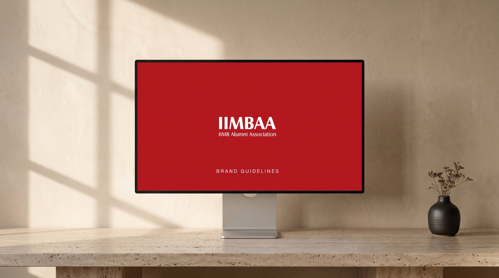 IIMBAA project