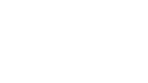 Malik Aziz & Co.