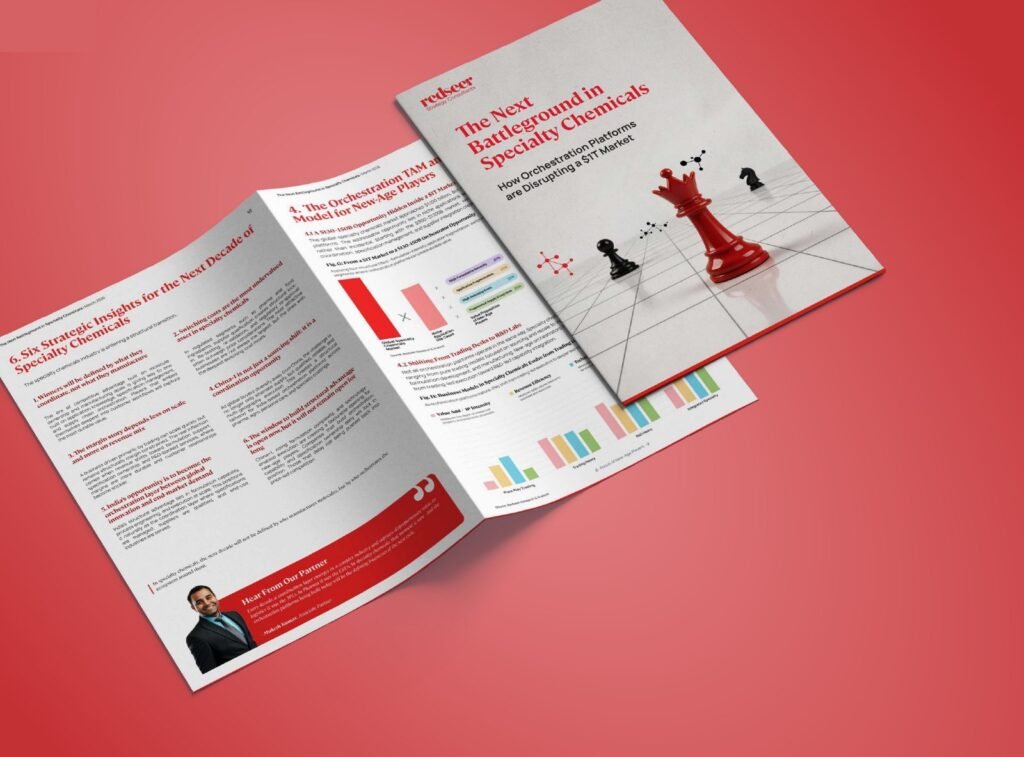 Redseer white paper spreads