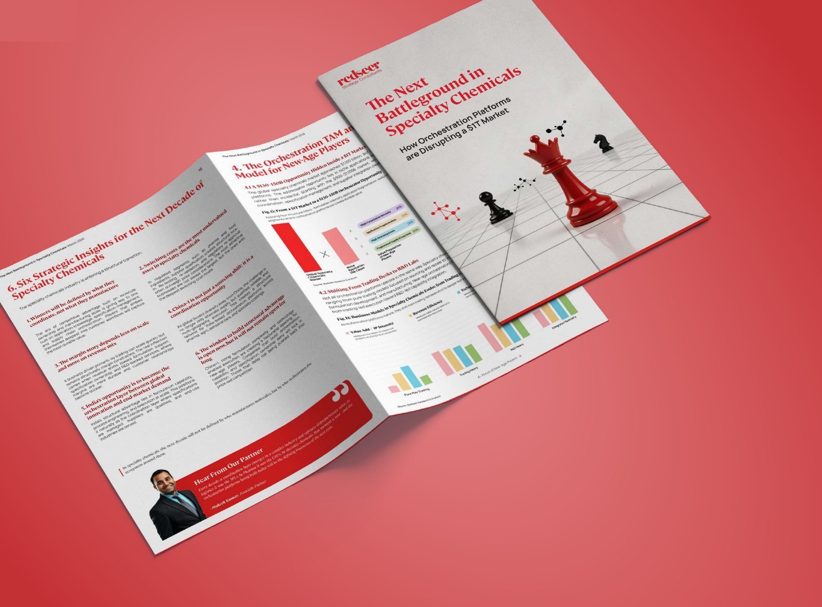 Redseer white paper spreads